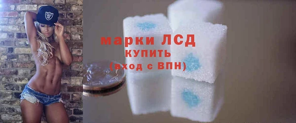 индика Баксан