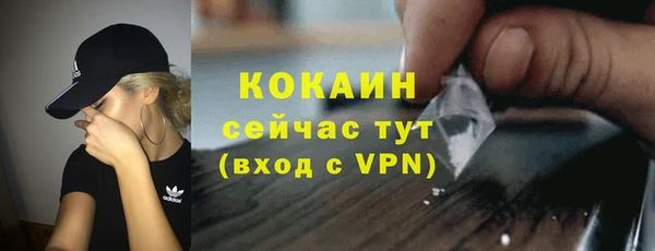 индика Баксан