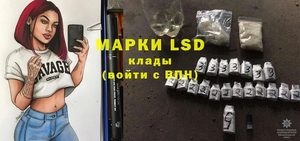 индика Баксан