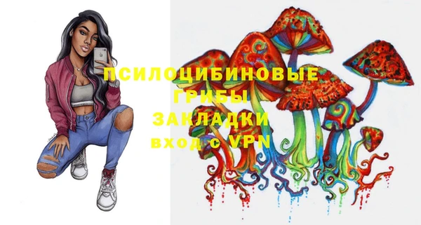 индика Баксан