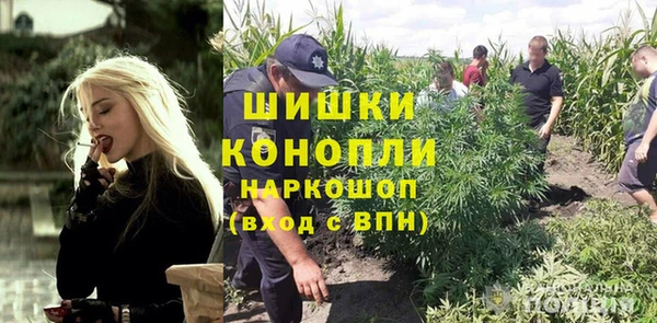 индика Баксан