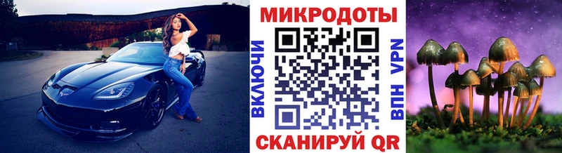 kraken рабочий сайт  Кохма  Псилоцибиновые грибы ЛСД 